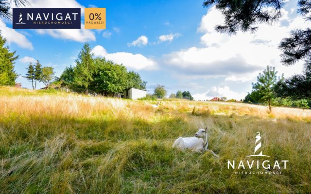 dom wolnostojący, 10 pokoi Klonowo Górne. Zdjęcie 5