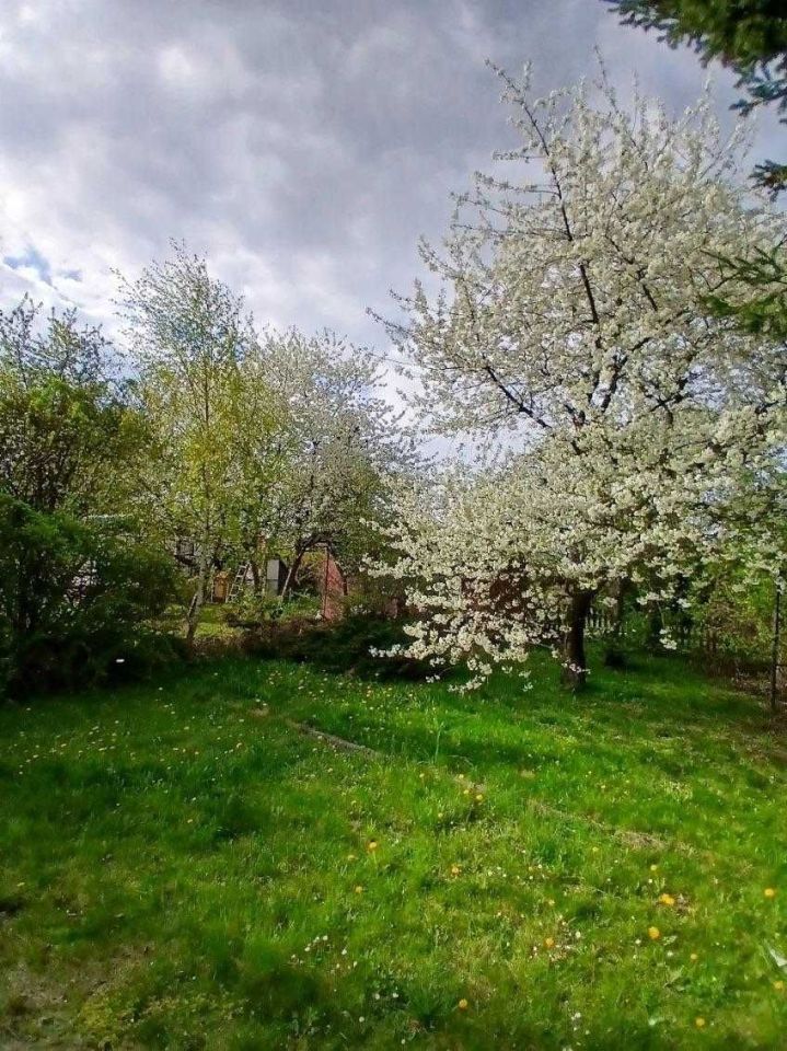 Działka rod Rybnik Maroko-Nowiny, ul. Brzozowa. Zdjęcie 4