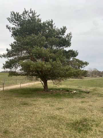 Działka rolno-budowlana Zagozd. Zdjęcie 1