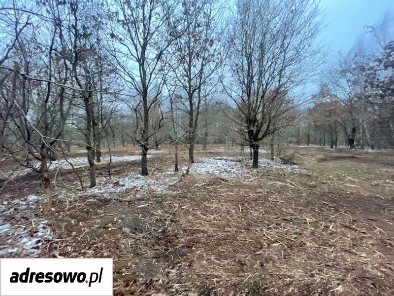 Działka budowlana Domysłów. Zdjęcie 17