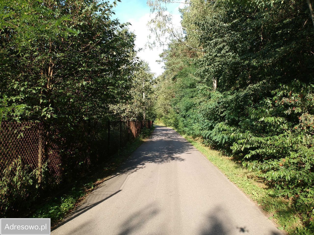 Działka rolno-budowlana Żeromin. Zdjęcie 4