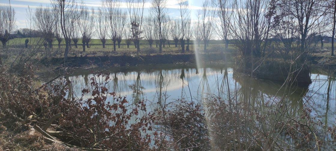 Działka budowlana Przybroda. Zdjęcie 2