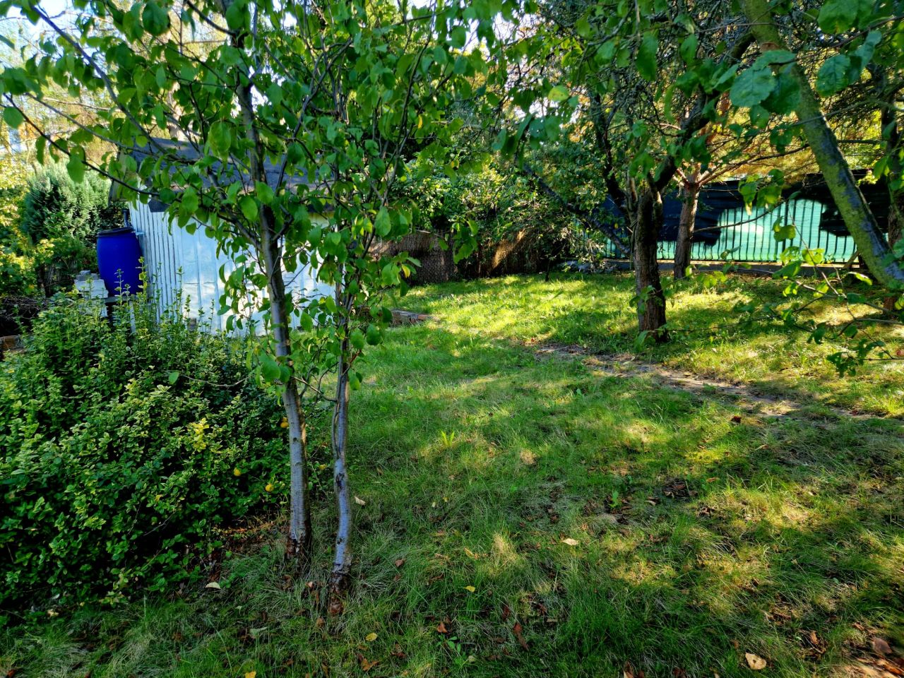 Działka rod Wrocław Krzyki, ul. Borowska. Zdjęcie 8