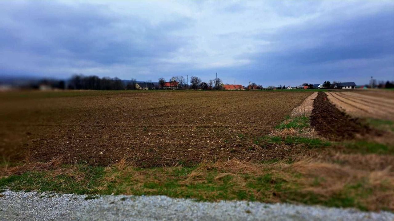 Działka budowlana Lutomia Dolna Stachowiczki. Zdjęcie 5