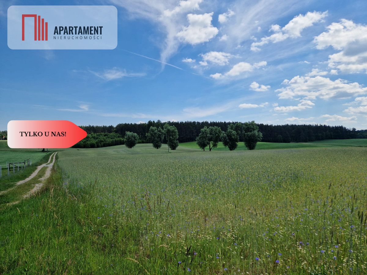 Działka rekreacyjna Skorzewo. Zdjęcie 10