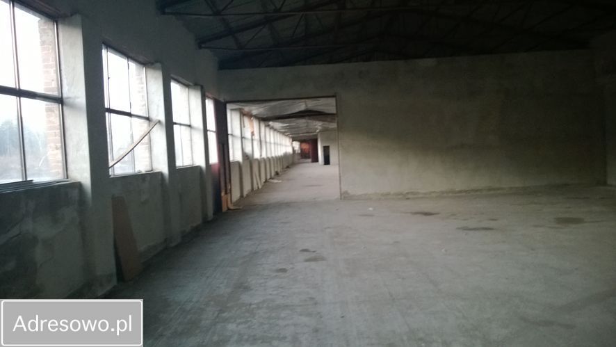 Działka inwestycyjna Lipie. Zdjęcie 6