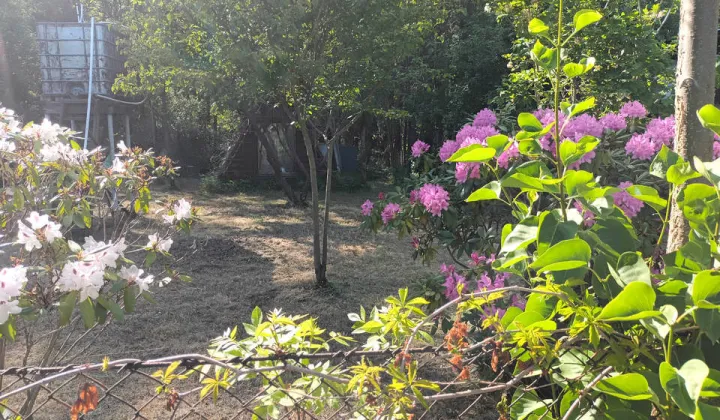 Działka rod Opole, ul. Częstochowska