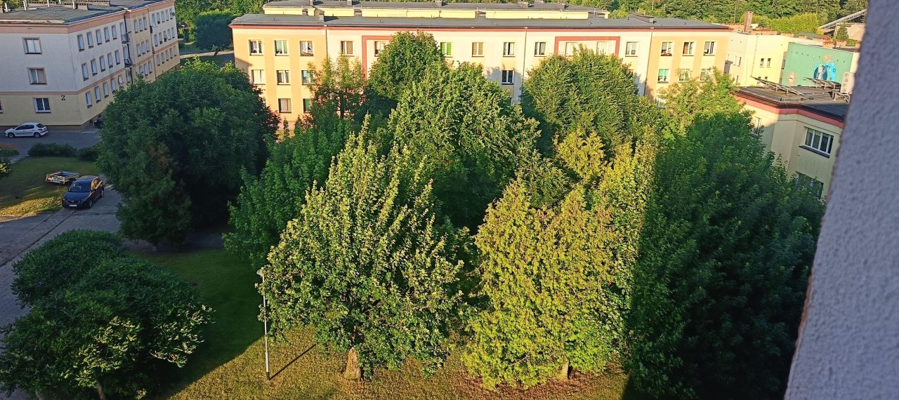 Mieszkanie 1-pokojowe Rosnowo. Zdjęcie 10