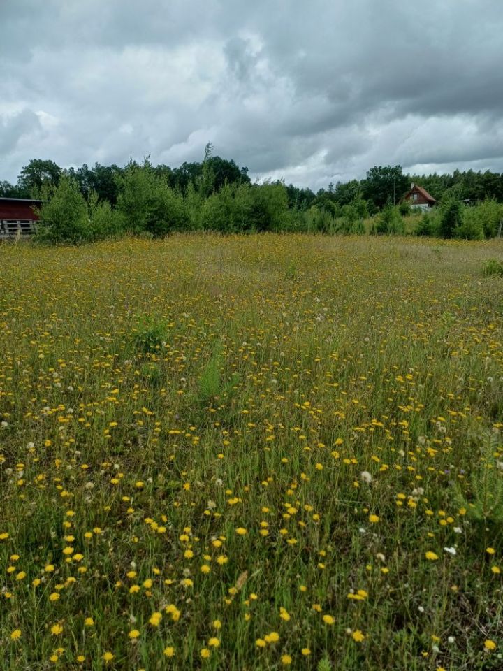 Działka budowlana Nowa Wieś Przywidzka, ul. Zielona. Zdjęcie 11