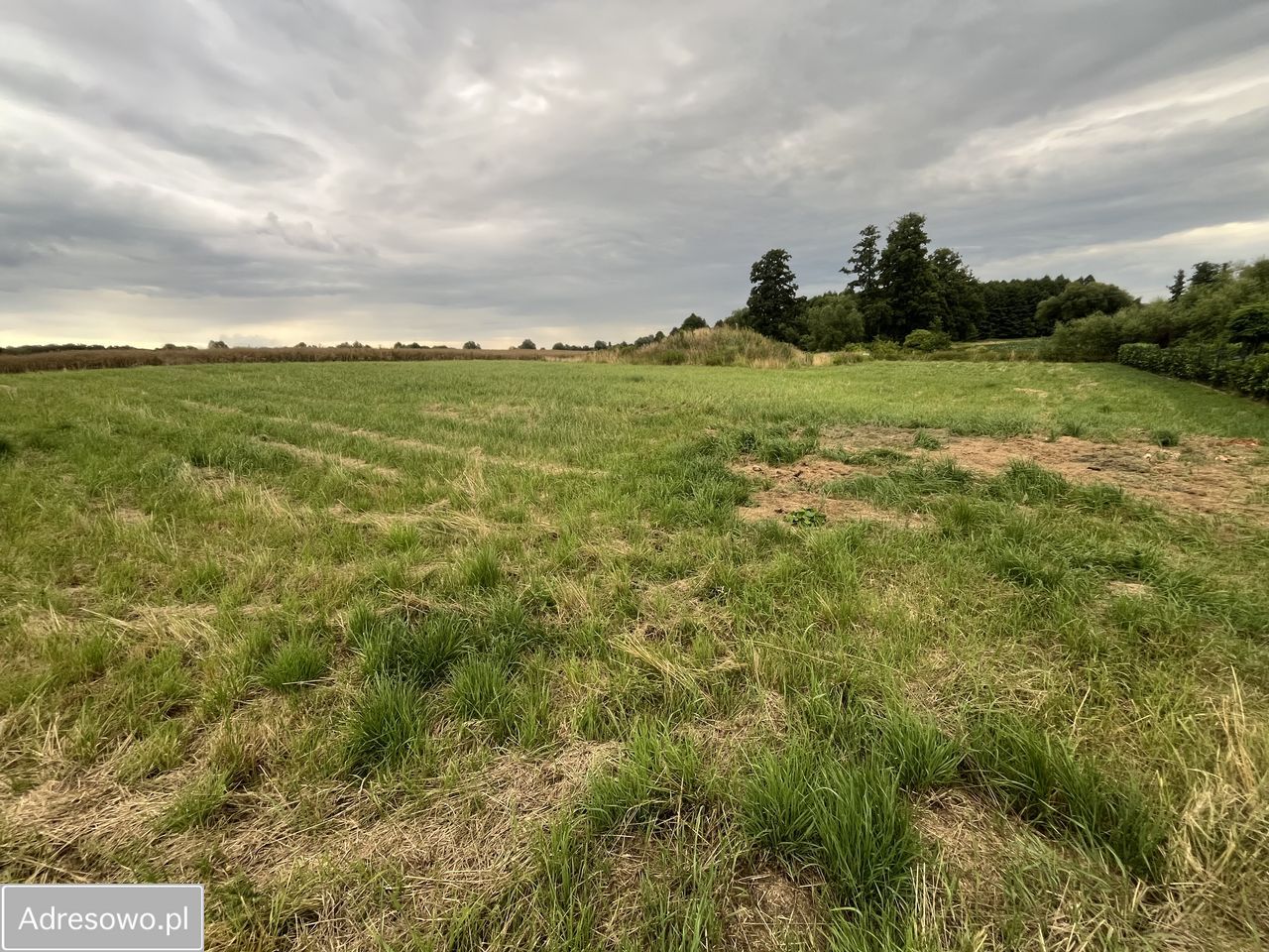 Działka budowlana Bierzyce, ul. Wrocławska. Zdjęcie 5