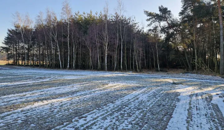 Działka leśna Goździków