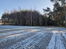 Działka leśna Goździków