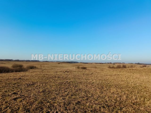 Działka rolna Grabnik. Zdjęcie 4