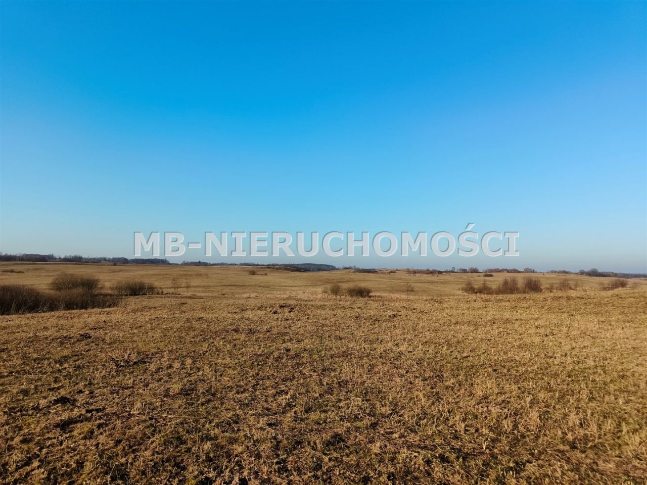 Działka rolna Grabnik. Zdjęcie 4