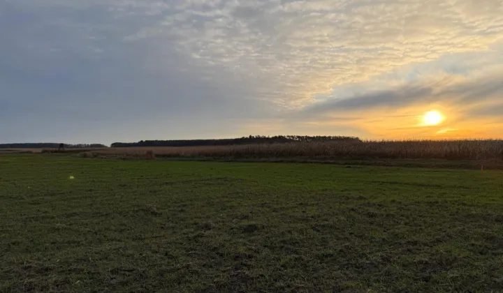 Działka rolna Oleśniczka