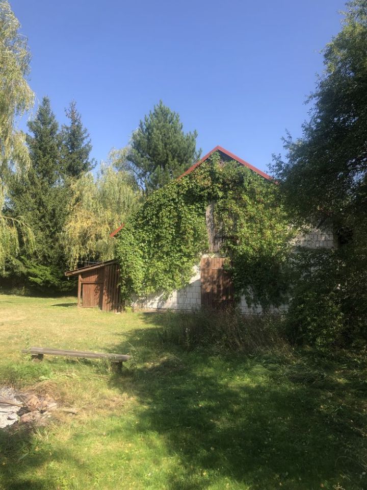 gospodarstwo Nowa Wieś Ostródzka. Zdjęcie 2