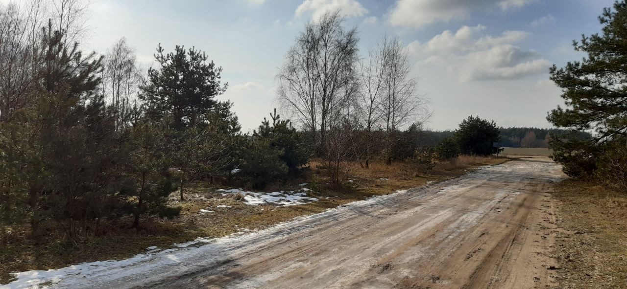 Działka budowlana Nekielka, ul. Konwaliowa. Zdjęcie 6