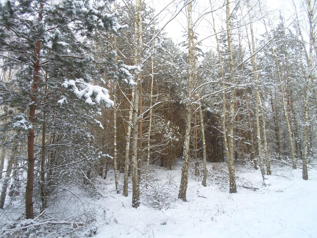 Działka rolno-budowlana Kozjaty. Zdjęcie 6