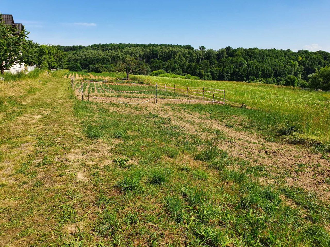 Działka rolno-budowlana Zerwana. Zdjęcie 6