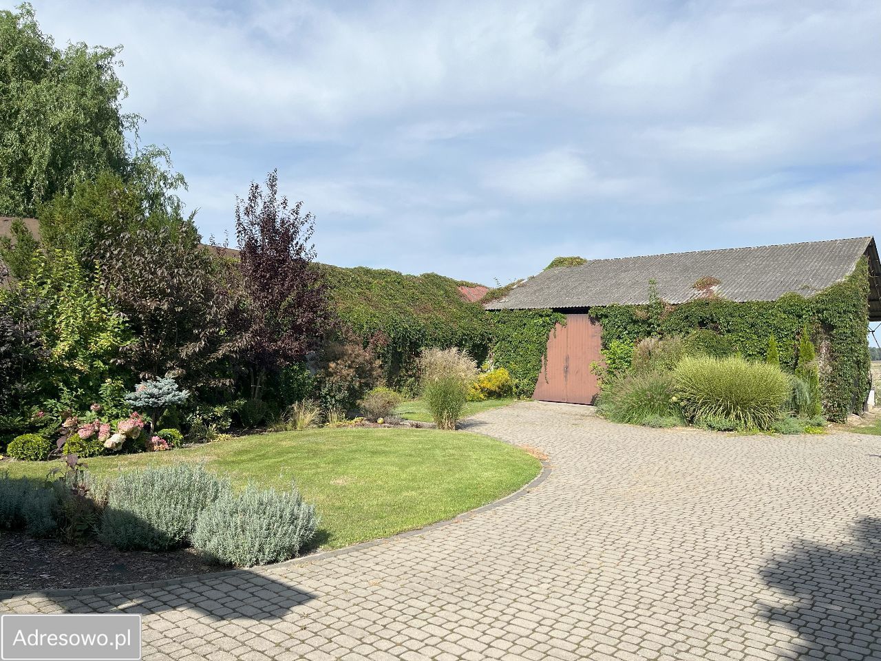 siedlisko, 6 pokoi Strzyżew Strzyżew-Parcela. Zdjęcie 9