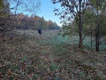 Działka rolna Nagórze. Zdjęcie 4