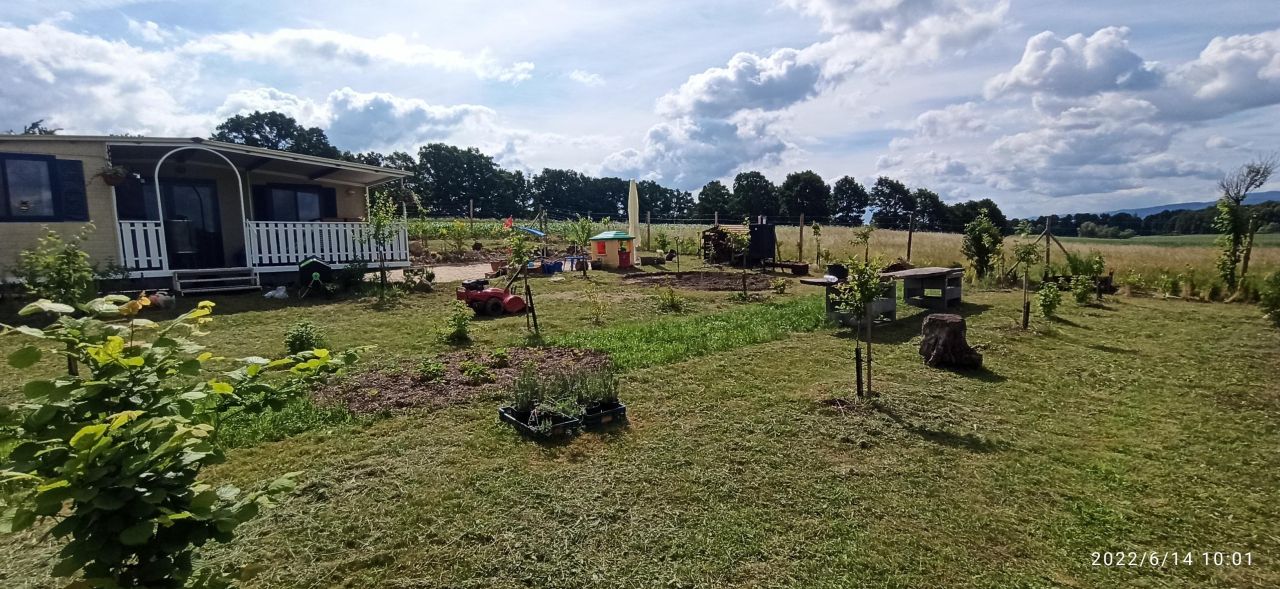 Działka siedliskowa Grodziszcze. Zdjęcie 17