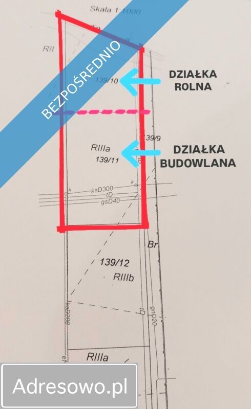 Działka rolno-budowlana Stasin. Zdjęcie 3