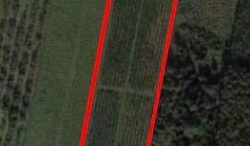 Działka rolna Beznatka Korek