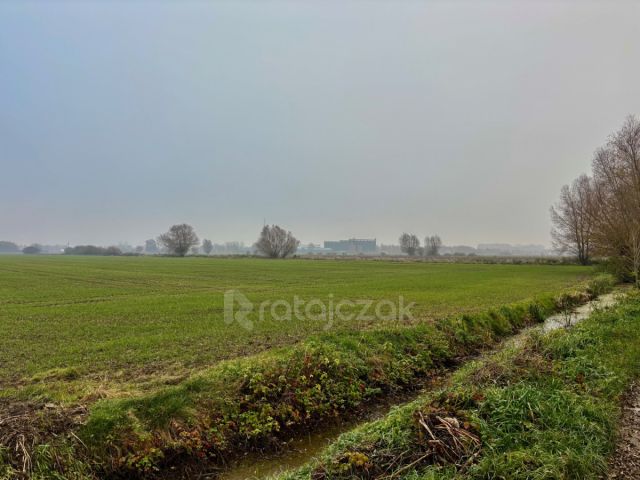 Działka budowlana Drewnica, ul. Wierzbowa. Zdjęcie 4