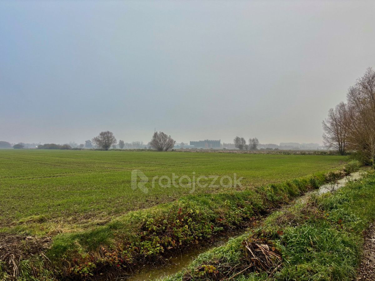 Działka budowlana Drewnica, ul. Wierzbowa. Zdjęcie 4