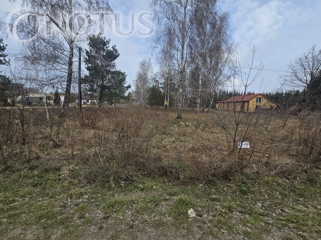 Działka budowlana Jastrzębnik. Zdjęcie 4