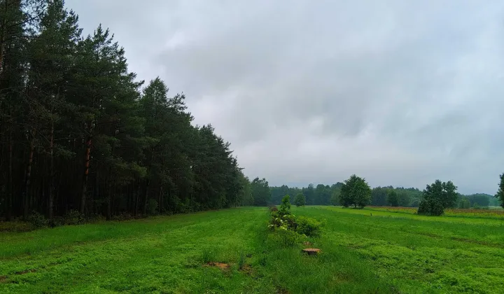 Działka budowlana Gołąbek, ul. Bajkowa