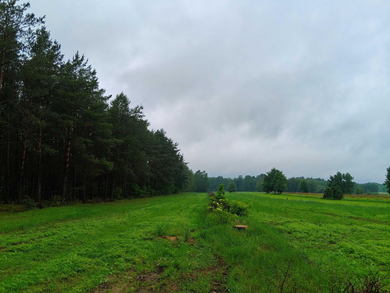Działka budowlana Gołąbek, ul. Bajkowa. Zdjęcie 1