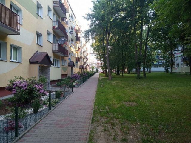 Mieszkanie 2-pokojowe Łódź Bałuty, ul. Olsztyńska. Zdjęcie 1