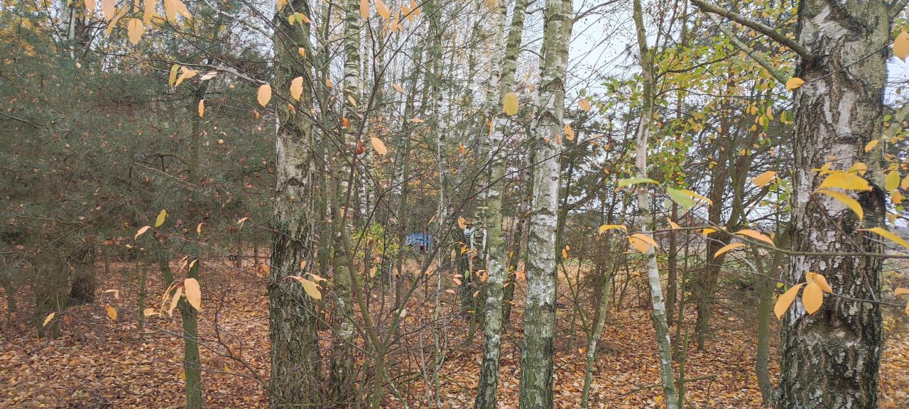 Działka rolna Osada-Wola. Zdjęcie 9