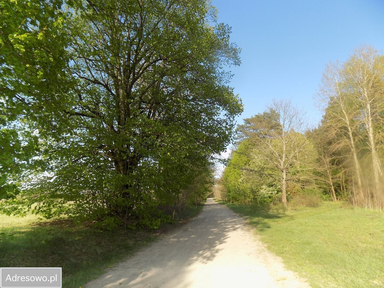 Działka budowlana Kłębowiec. Zdjęcie 5