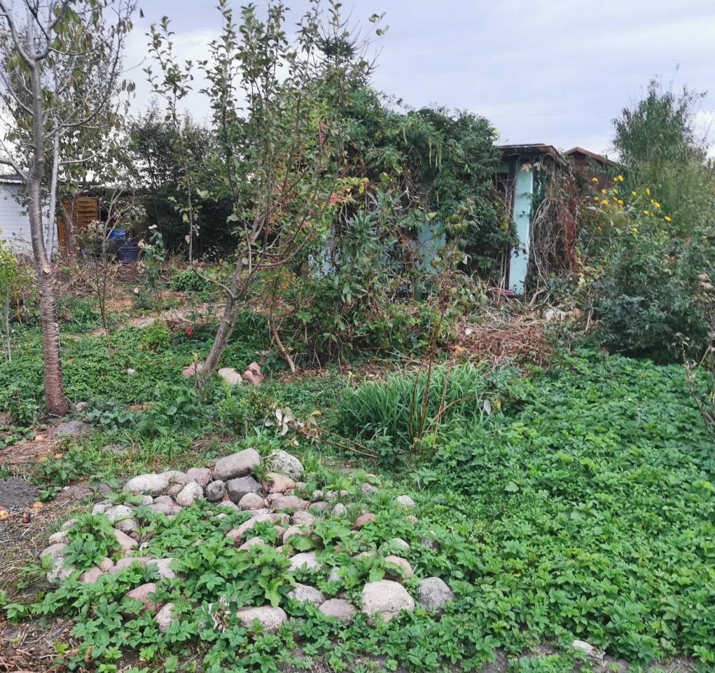 Działka rod Żnin. Zdjęcie 7