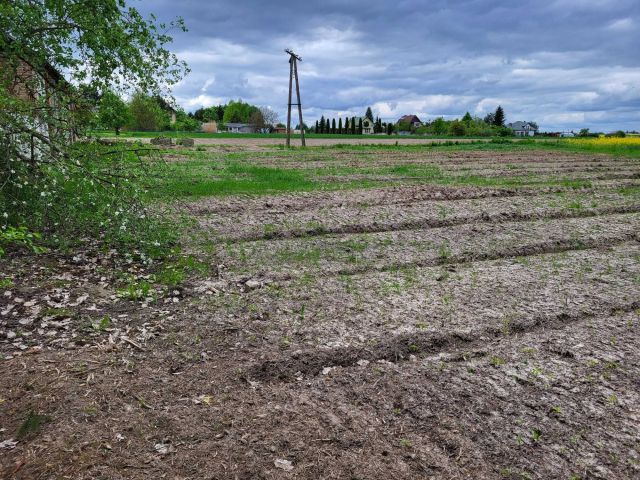 Działka budowlana Płoskie. Zdjęcie 1