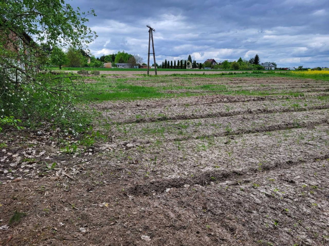 Działka budowlana Płoskie