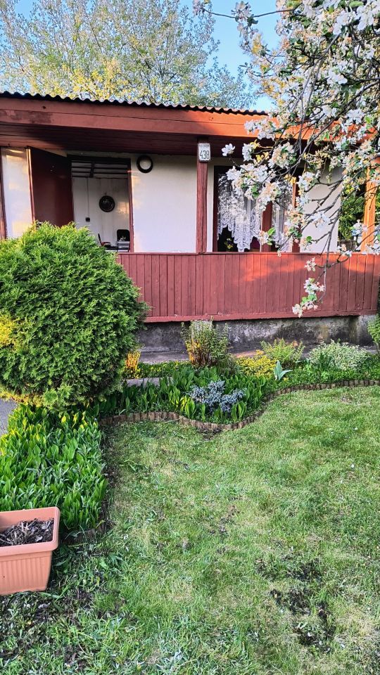 Działka rod Sosnowiec Niwka, ul. Portowa. Zdjęcie 10