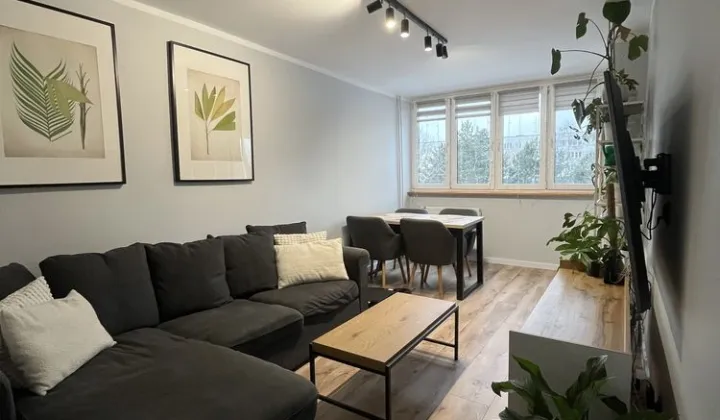 Mieszkanie 3-pokojowe Polkowice, ul. Lipowa