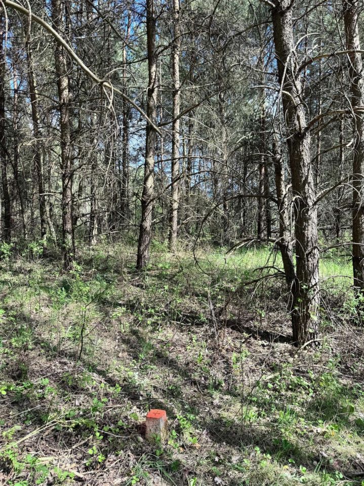 Działka budowlana Leszno. Zdjęcie 6