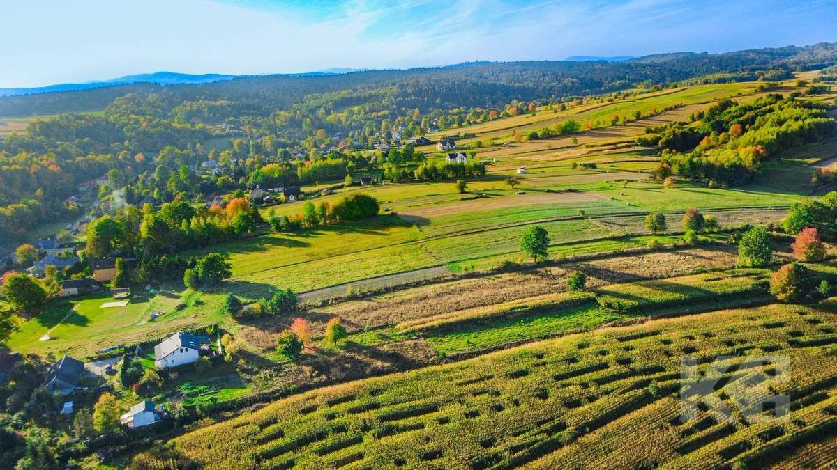 Działka budowlana Zahutyń. Zdjęcie 9