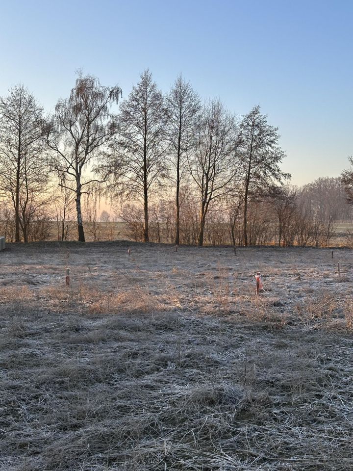Działka budowlana Broniszewice. Zdjęcie 4