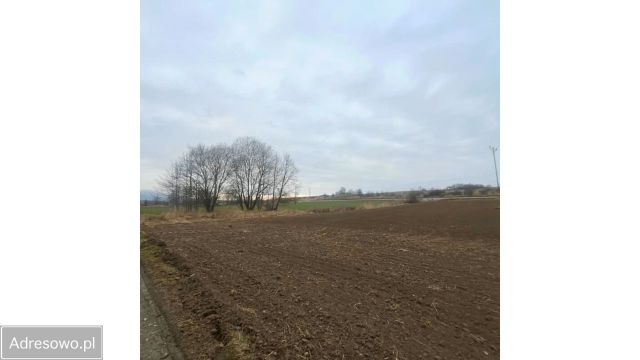Działka budowlana Stary Wielisław. Zdjęcie 1