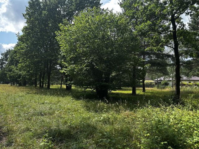 Działka budowlana Rusiec, ul. Cyrkoniowa. Zdjęcie 1