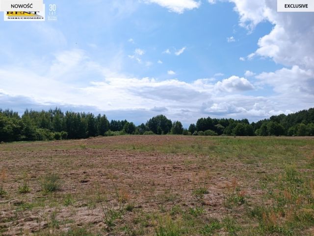Działka rolna Długie. Zdjęcie 9