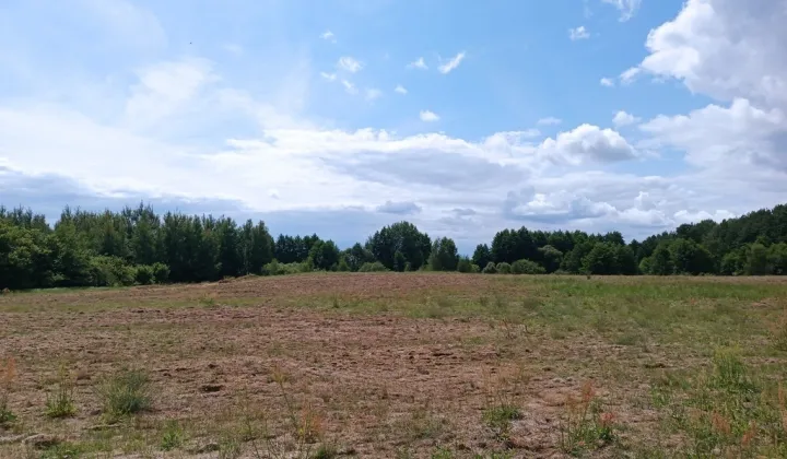 Działka rolna Długie