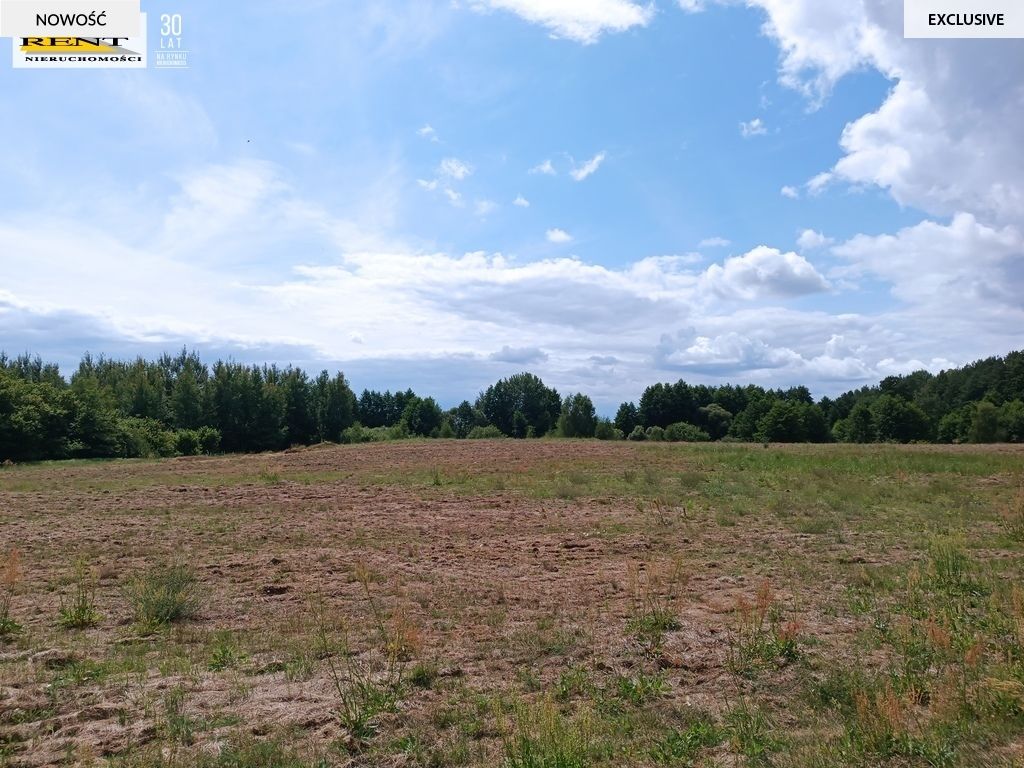 Działka rolna Długie. Zdjęcie 9