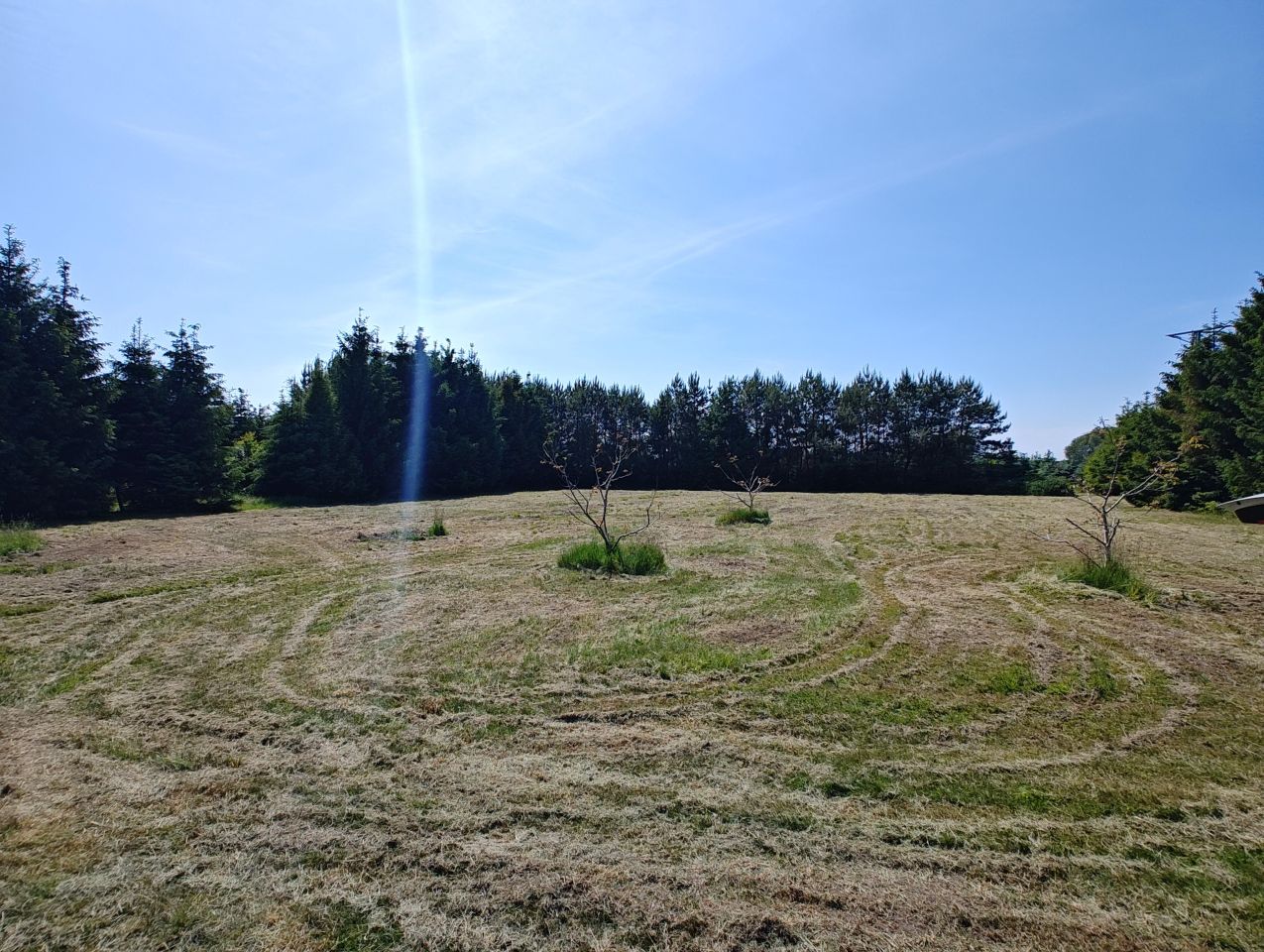 Działka rolno-budowlana Modła. Zdjęcie 5